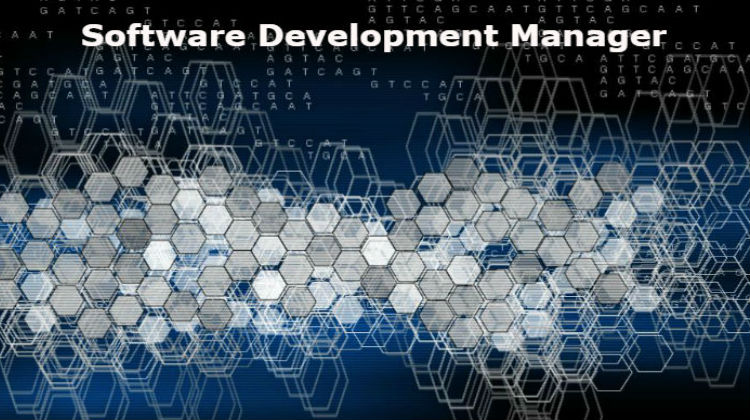 Software Development Manager