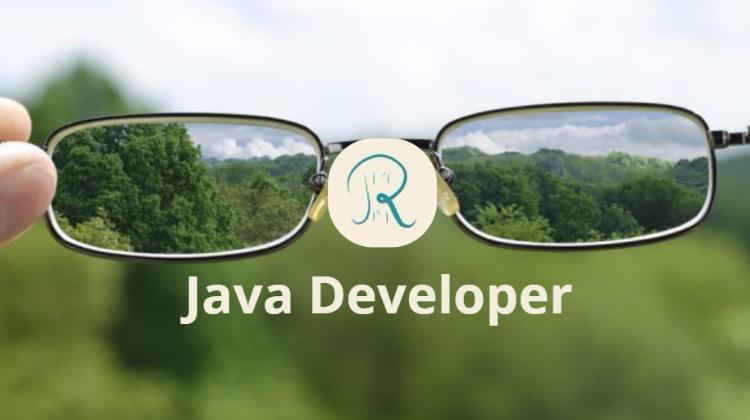 Java Developer Java Developer
