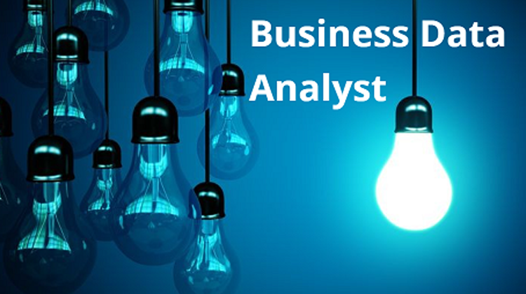 Business Data Analyst