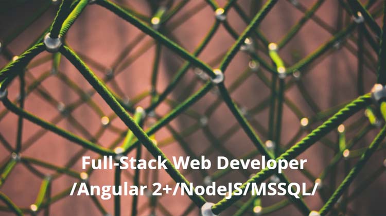 Full-Stack Web Developer