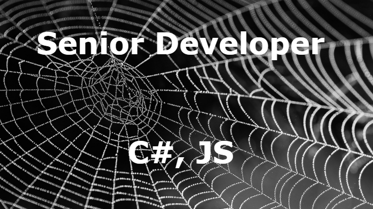 Senior Developer Senior Developer