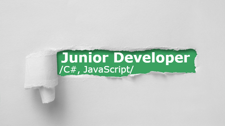 Junior Developer Junior Developer