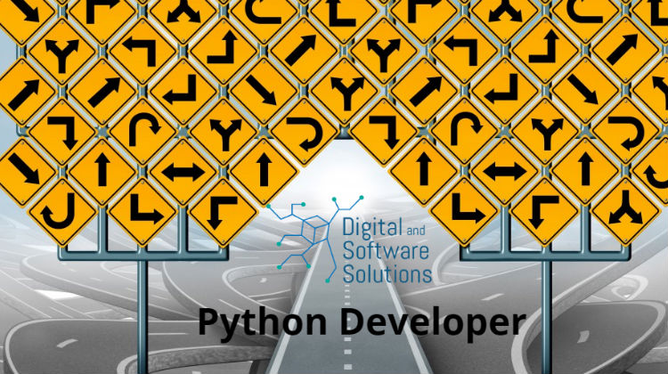 Python Developer Python Developer