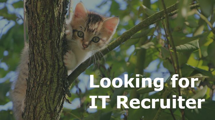 Business Development Manager Business Development Manager